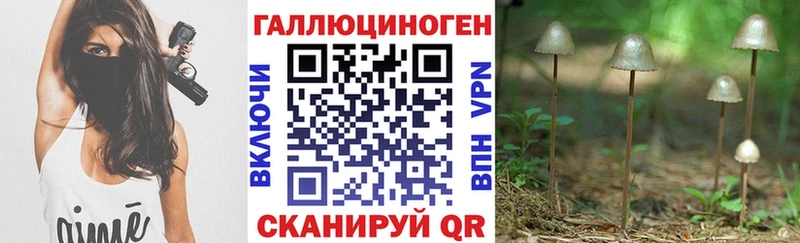 Галлюциногенные грибы Psilocybe  Ершов 